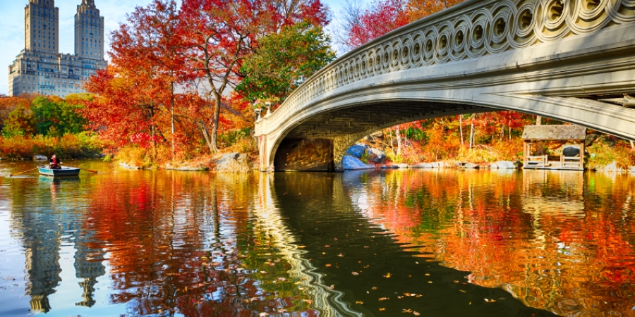Central Park, NYC Attractions