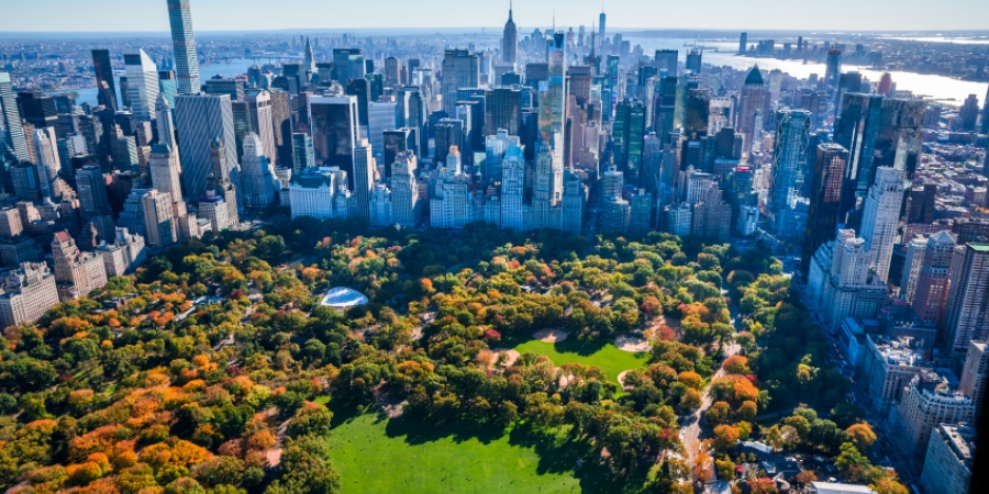 NYC Activity, Walk Through Central Park